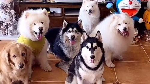 国产三级 第2页